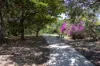 18 Minkara Street, Warana, Qld 4575-Image