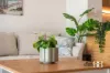 1802/238 Adelaide Terrace, Perth, WA 6000-Image