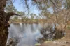 181/12 Wall Street, Maylands, WA 6051-Image