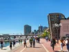 188 Day Street, Sydney, NSW 2000-Image