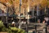 18E/4 Distillery Drive, Pyrmont, NSW 2009-Image