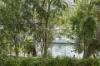 19/14 Leichhardt Street, Glebe, NSW 2037-Image