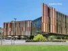 19/2-4 Smith Street, Epping, NSW 2121-Image