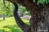 19/26 Macquarie Street, Barton, ACT 2600-Image