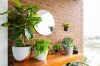 19/268 Johnston Street, Annandale, NSW 2038-Image