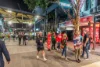 19/97 Alfred Street, Fortitude Valley, Qld 4006-Image