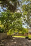 1A/55 Herdsman Parade, Wembley, WA 6014-Image