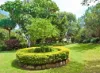 1C/3-17 Darling Point Road, Darling Point, NSW 2027-Image