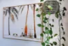 2/1 Moreton Parade, Kings Beach, Qld 4551-Image