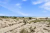 2/10 Pacific Parade, Bilinga, Qld 4225-Image