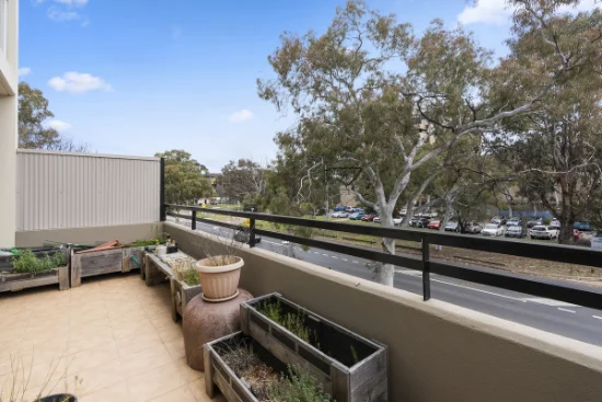 2/12 Challis Street, Dickson, ACT 2602-Image