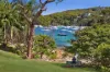 2/14 Austin Street, Fairlight, NSW 2094-Image