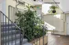 2/147-151 Brougham Street, Woolloomooloo, NSW 2011-Image