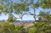 2/159 Victoria Road, Bellevue Hill NSW 2023-Image