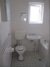 2/17 McKeon Street, Maroubra, NSW 2035-Image