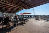 2/18 Onslow Avenue, Elizabeth Bay, NSW 2011-Image