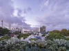 2/2 Kings Lane, Darlinghurst, NSW 2010-Image