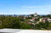2/203  Birrell Street, Waverley, NSW 2024-Image