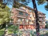 2/21 Tupper Street, Enmore, NSW 2042-Image