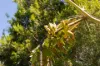 2/23 Thomas Street, Noosaville, Qld 4566-Image