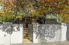 2/300-302 High Street, Windsor, Vic 3181-Image