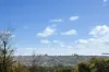 2/303 Simpson Street, Bondi Beach NSW 2026-Image