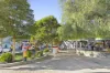 2/33 Foam Street, Freshwater, NSW 2096-Image