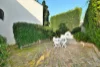 2/35 The Boulevarde, Lewisham, NSW 2049-Image
