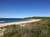 2/39 McKeon Street, Maroubra, NSW 2035-Image