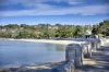 2/5 Belmont Road, Mosman, NSW 2088-Image