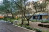 2/52-54 McEvoy Street, Waterloo, NSW 2017-Image