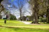 2/69 Glenferrie Road, Malvern, Vic 3144-Image
