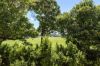 2/69 Lang Parade, Auchenflower QLD 4066-Image