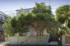 2/82 Pakington Street, St Kilda, Vic 3182-Image