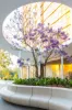 2 Bed/80 Waterloo Road, Macquarie Park, NSW 2113-Image
