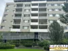 2 Quinn St, Wentworthville, NSW 2145-Image
