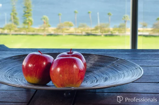 20/229 Adelaide Terrace, Perth, WA 6000-Image