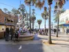 20/81 West Esplanade, Manly, NSW 2095-Image