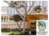 20 Hasluck Street, Rouse Hill, NSW 2155-Image