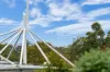201/1 Pottery Lane, Lane Cove, NSW 2066-Image