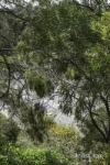 202R/88 Trenerry Crescent, Abbotsford, Vic 3067-Image