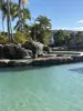 203/1 Paradise Island, Surfers Paradise, Qld 4217-Image