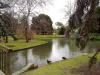 203/175 Balaclava Road, Caulfield North, Vic 3161-Image