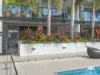 203/32 Glenora Street, Wynnum, Qld 4178-Image