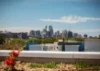 203/71-91 Euston Road, Alexandria NSW 2015-Image