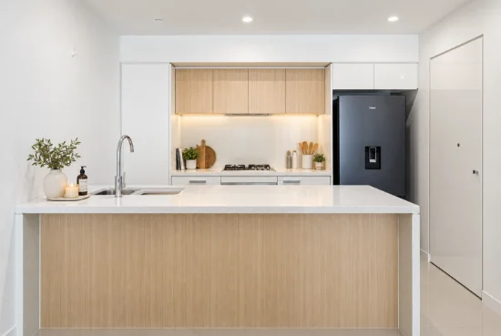 203s/5 Lardelli Drive, Ryde NSW 2112-Image