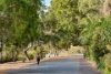 204/10 Pidgeon Close, West End, Qld 4101-Image