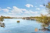 205D/6 Nancarrow Ave, Ryde, NSW 2112-Image