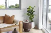 206/18 Atkinson Road, Subiaco, WA 6008-Image