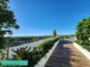 206/1A Lemon Tree Avenue, Melrose Park, NSW 2114-Image